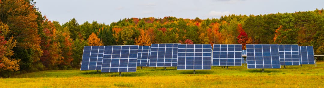 Field in front of forest with solar panels