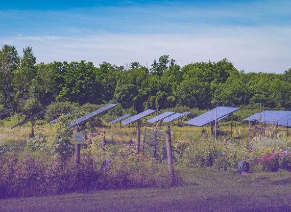 Solar panels in community garden